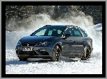 Seat Leon ST Cupra 300